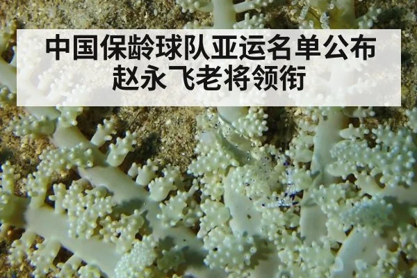 中国保龄球队亚运名单公布 赵永飞老将领衔
